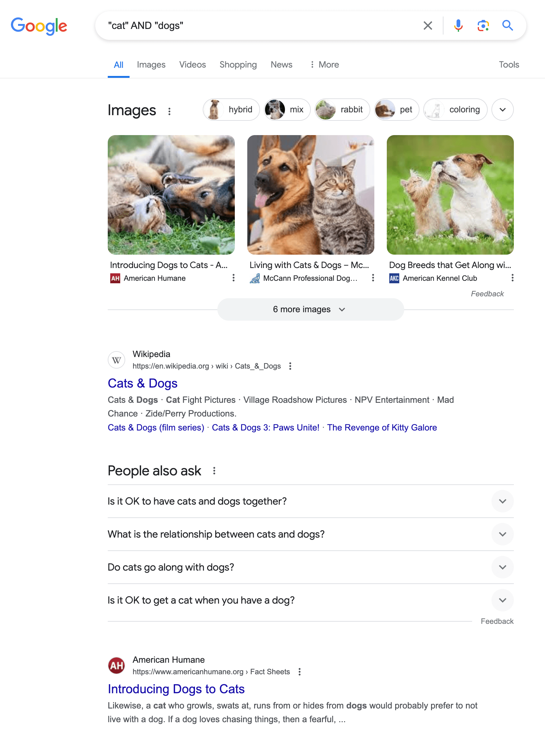 capture d’écran d’un résultat de recherche google pour « chat ET chiens »