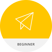 treinamento ao vivo para iniciantes